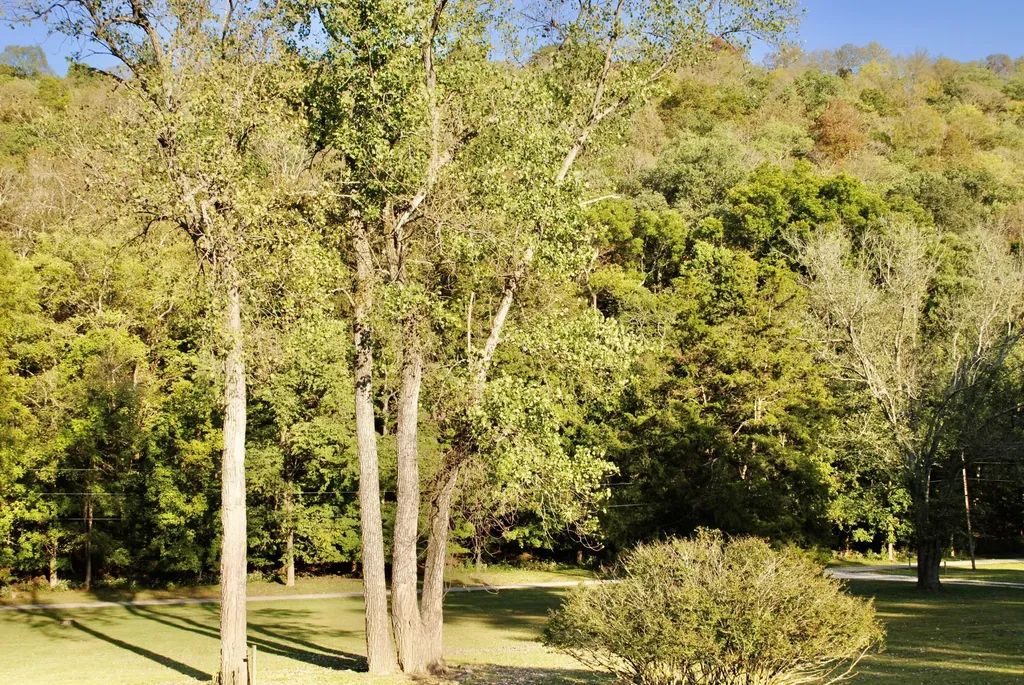 1900 Shore Acres Road Frankfort KY 40601