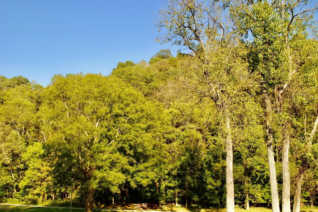 1900 Shore Acres Road Frankfort KY 40601