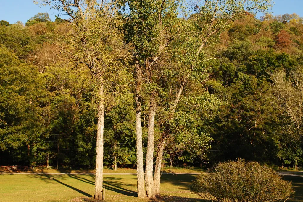 1900 Shore Acres Road Frankfort KY 40601