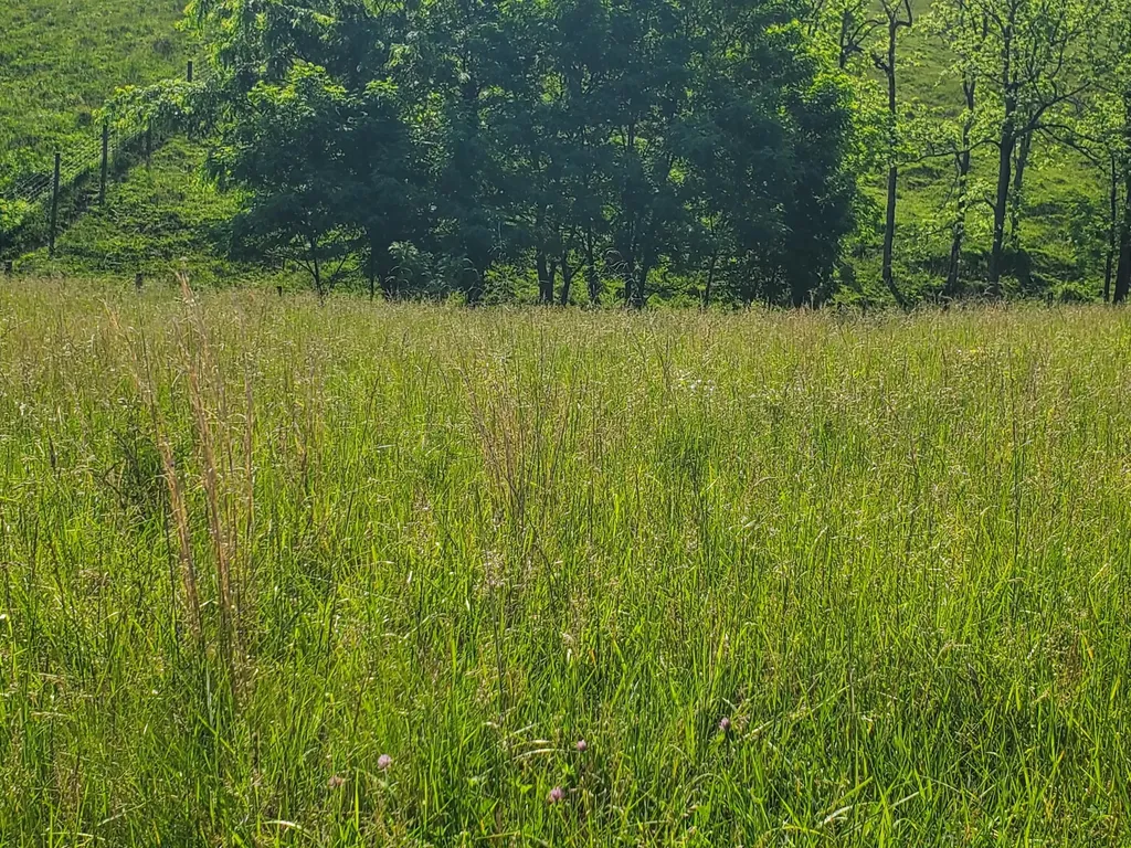 161 Westwoods Drive Georgetown KY 40324