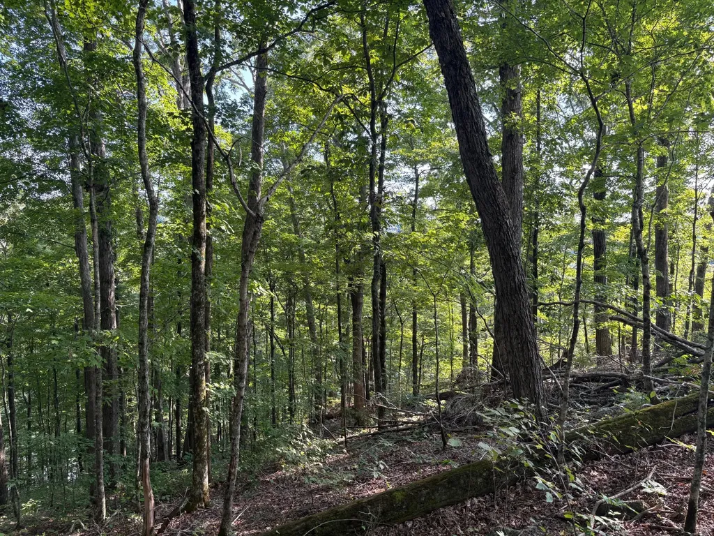 7 Sunset Drive Jamestown KY 42629