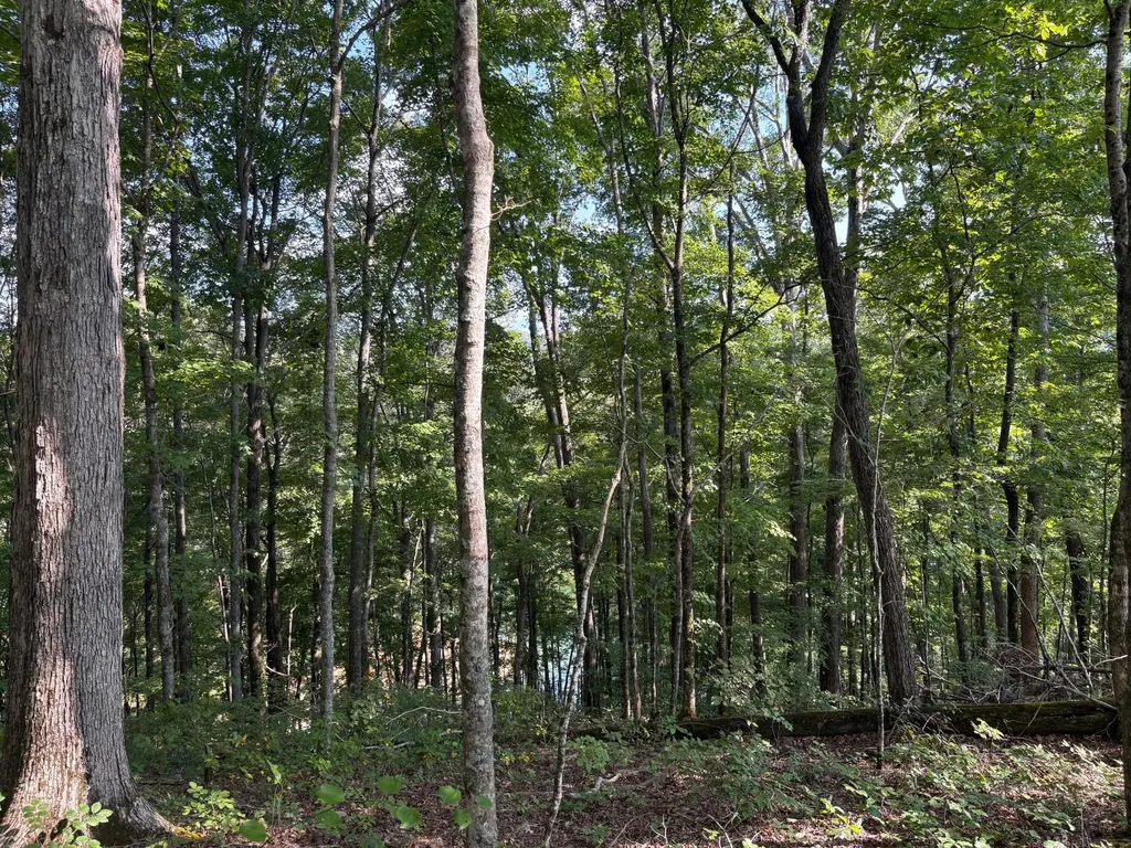 7 Sunset Drive Jamestown KY 42629