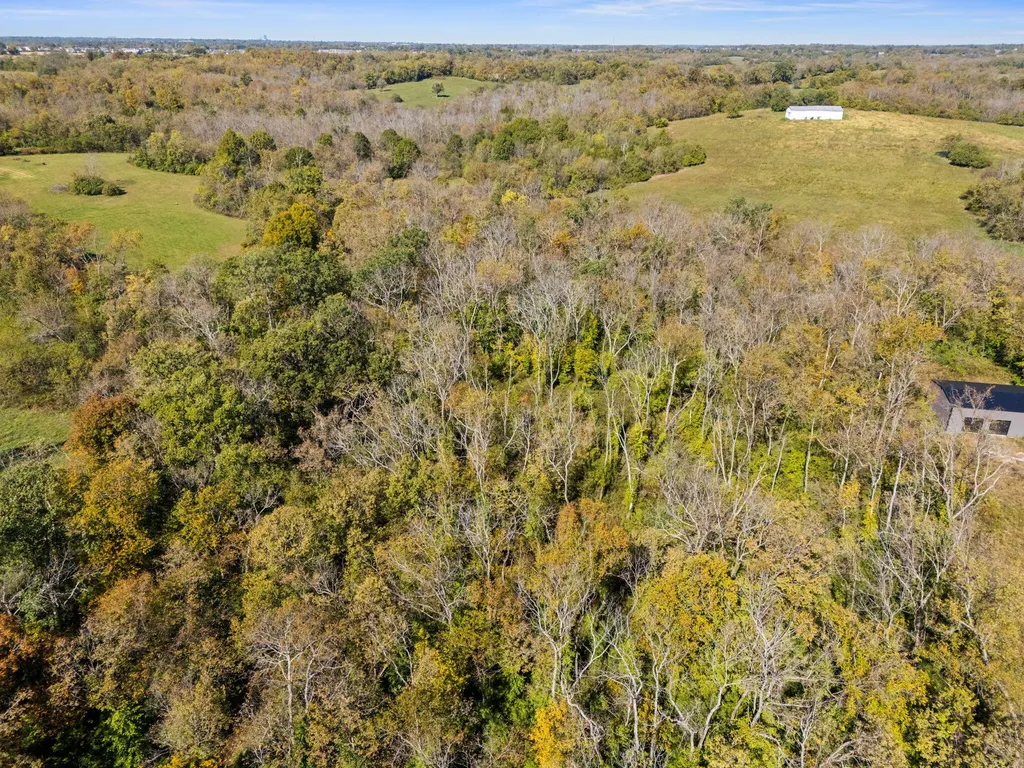 5651 Canebrake Court Lexington KY 40509