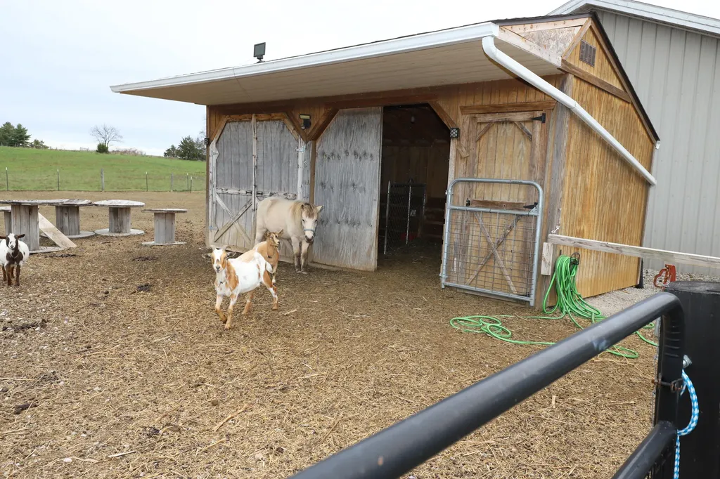 145 Hamm School Road Somerset KY 42503