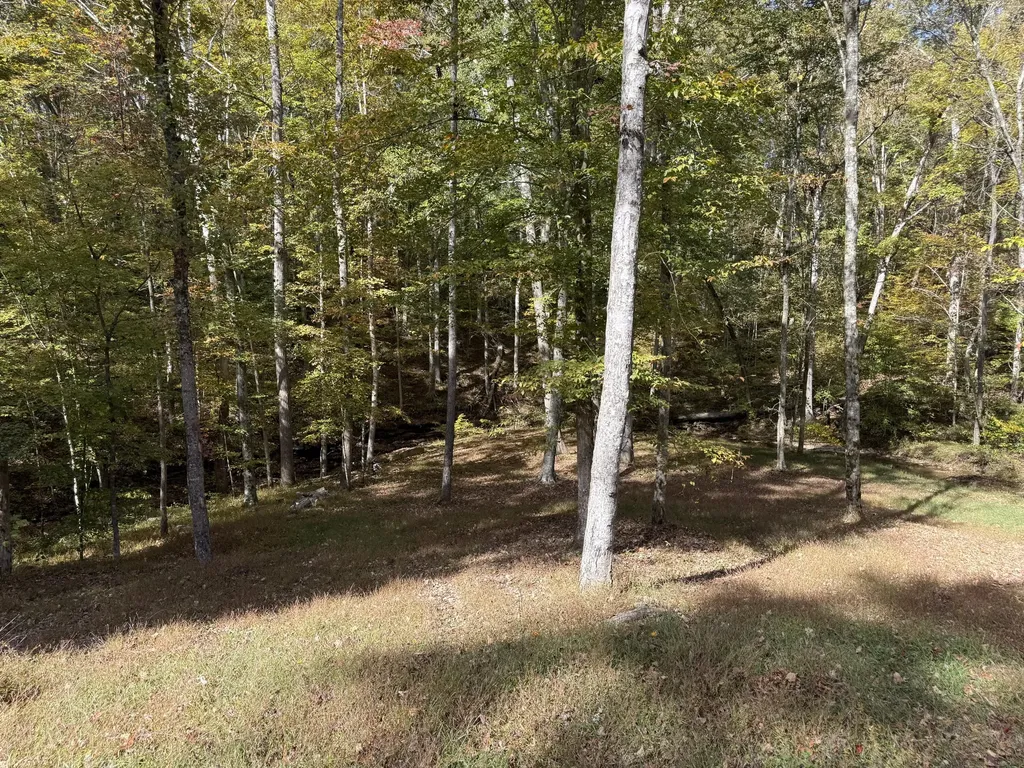 410 Falls Creek Way Somerset KY 42503