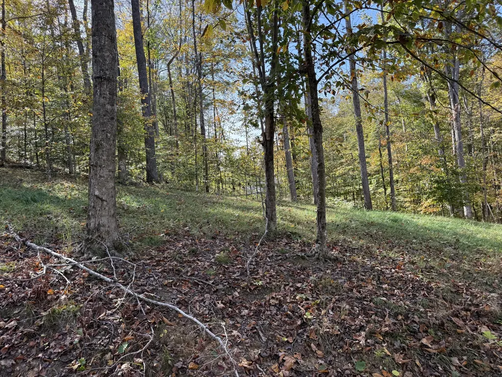 410 Falls Creek Way Somerset KY 42503
