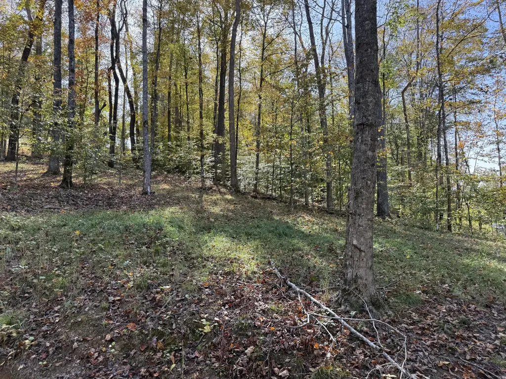 410 Falls Creek Way Somerset KY 42503