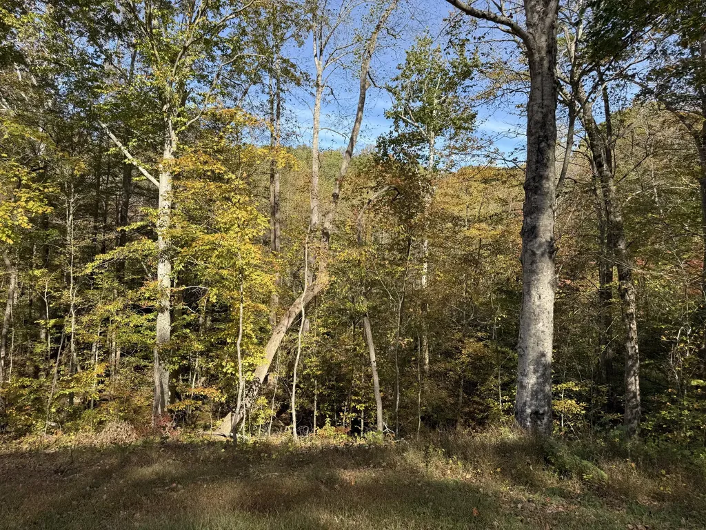 410 Falls Creek Way Somerset KY 42503