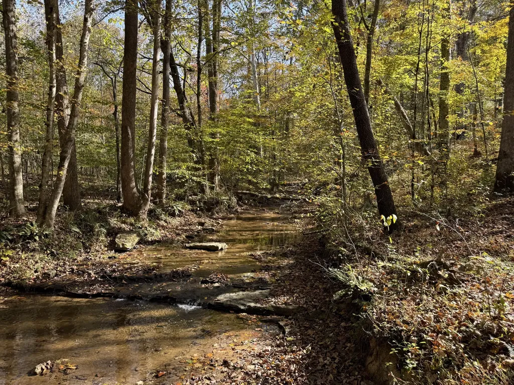 410 Falls Creek Way Somerset KY 42503
