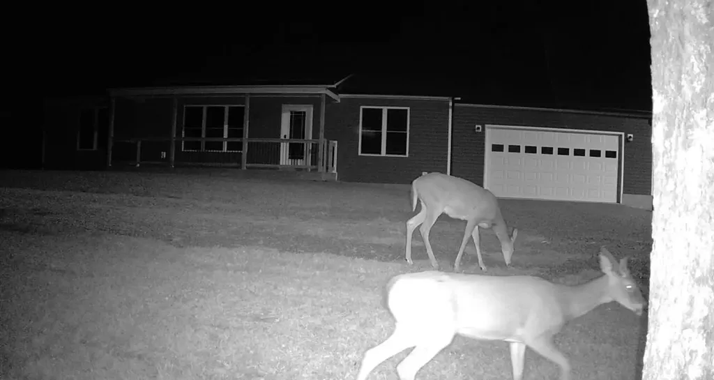 796 Hidden Acres Mount Olivet KY 41064