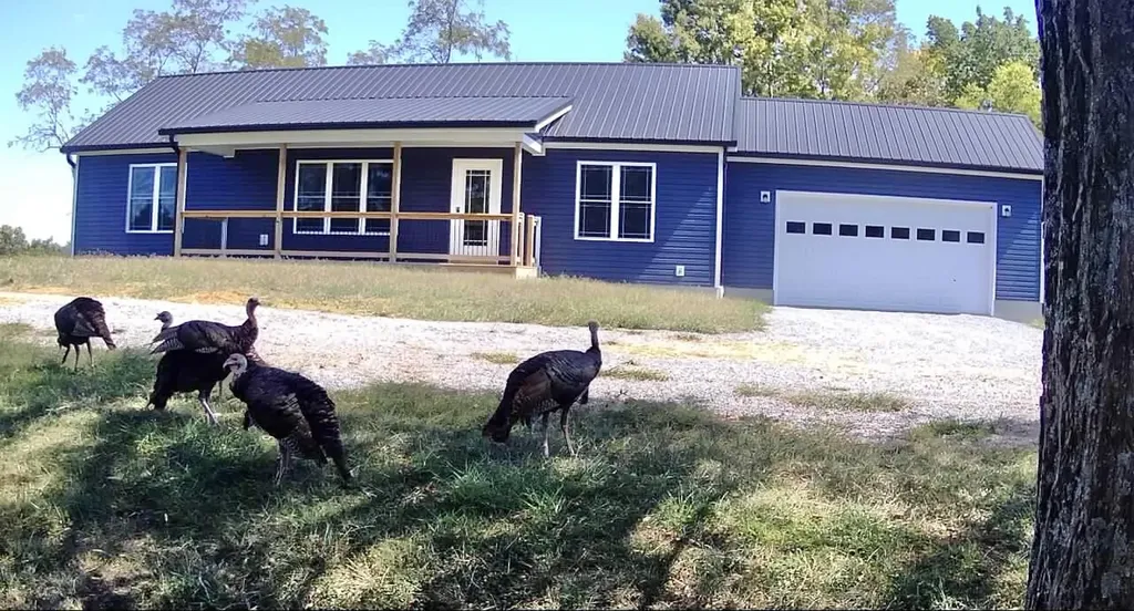 796 Hidden Acres Mount Olivet KY 41064