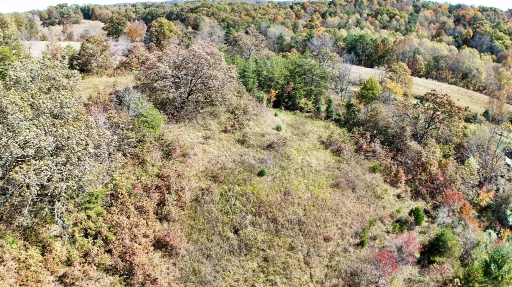 182 Robert Morris Road London KY 40741