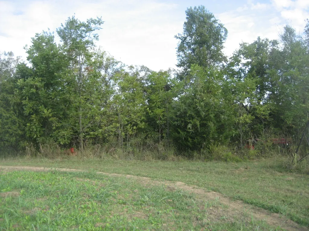 901 Hayden Brothers Lane Springfield KY 40069