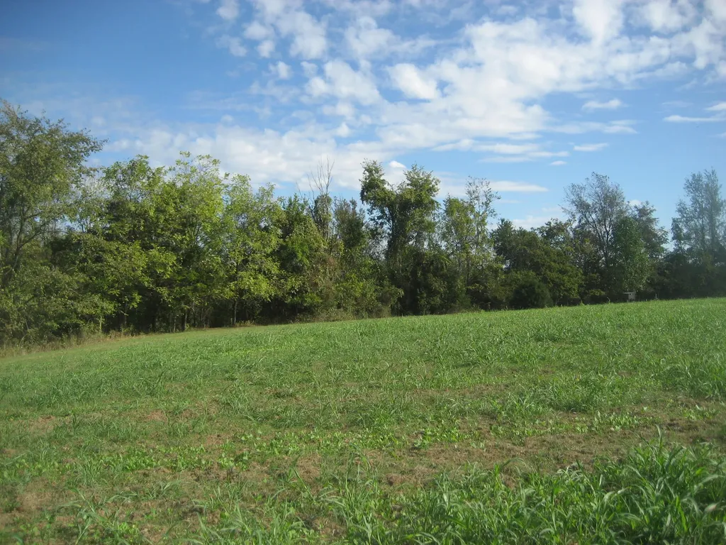 901 Hayden Brothers Lane Springfield KY 40069