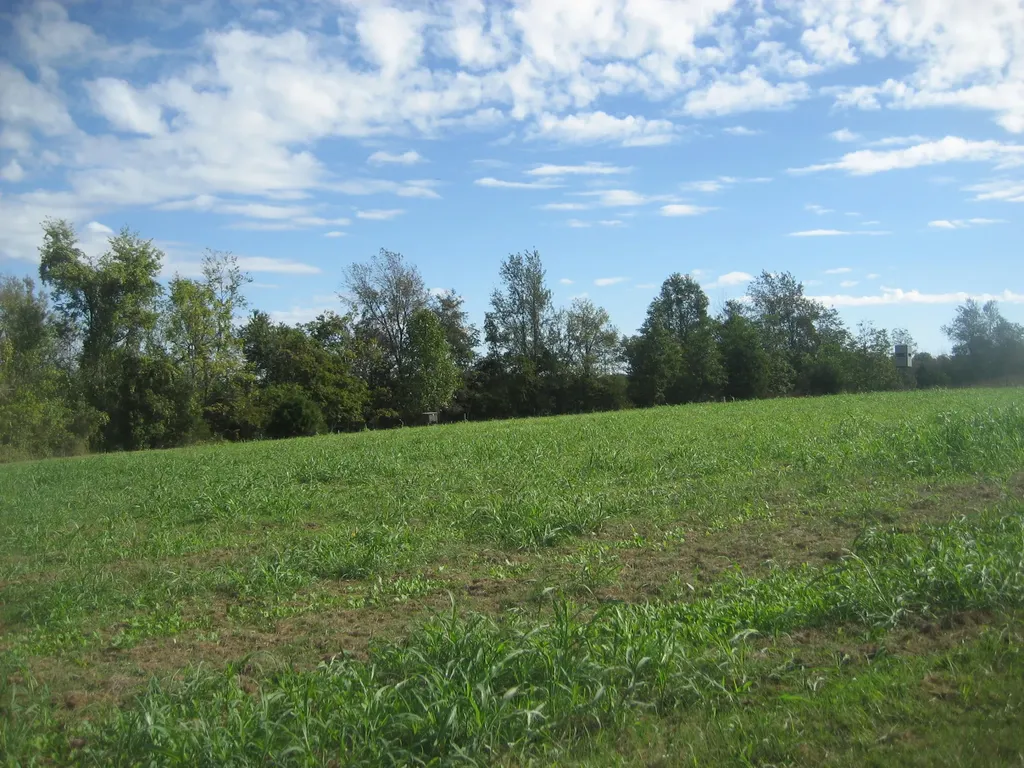 901 Hayden Brothers Lane Springfield KY 40069