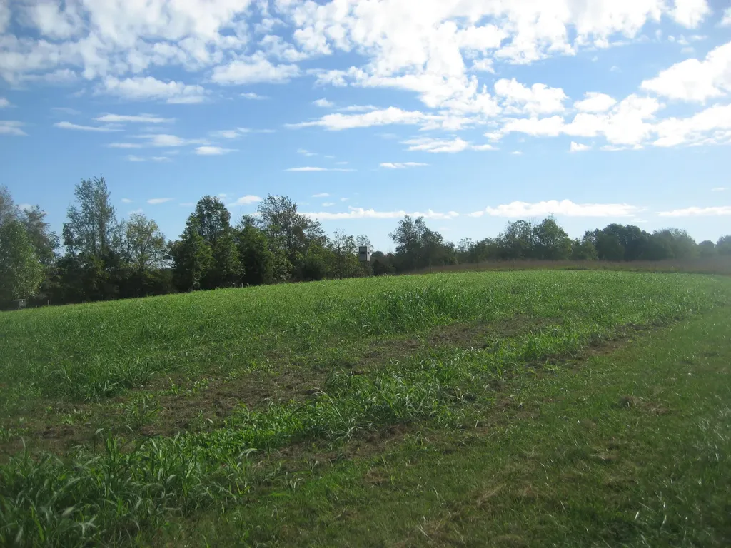 901 Hayden Brothers Lane Springfield KY 40069