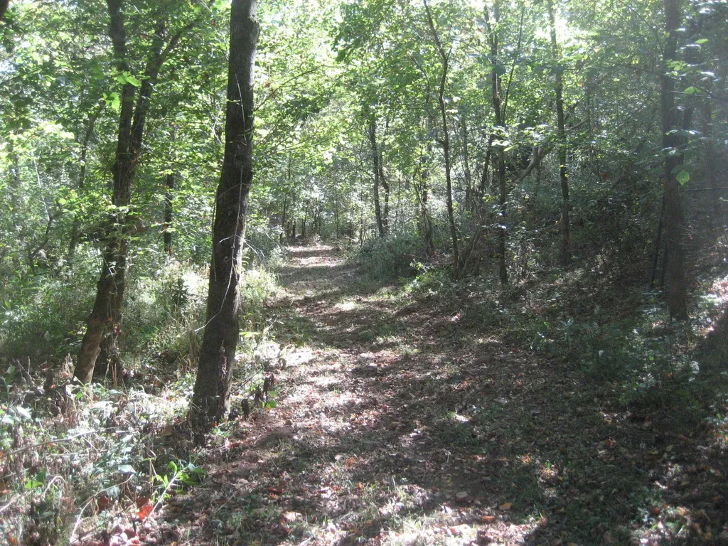 901 Hayden Brothers Lane Springfield KY 40069