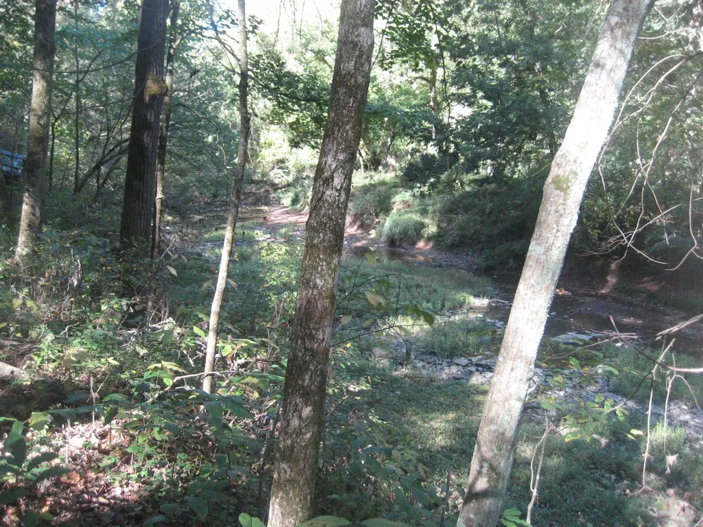 901 Hayden Brothers Lane Springfield KY 40069