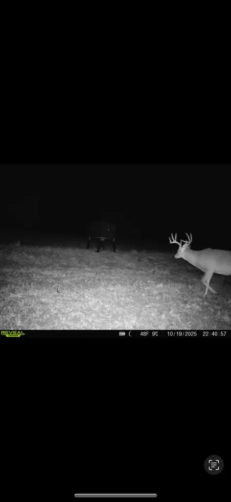 901 Hayden Brothers Lane Springfield KY 40069