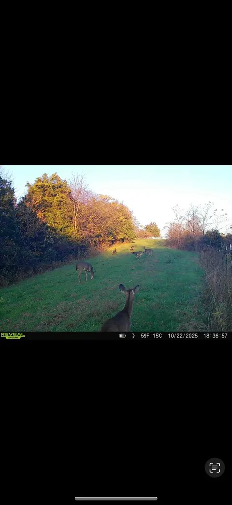 901 Hayden Brothers Lane Springfield KY 40069