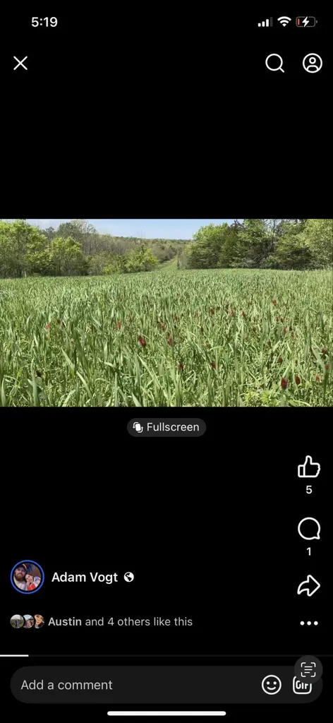 901 Hayden Brothers Lane Springfield KY 40069