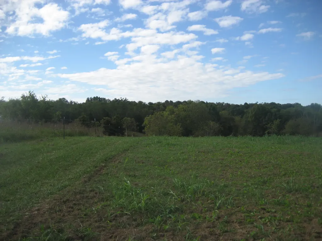 901 Hayden Brothers Lane Springfield KY 40069