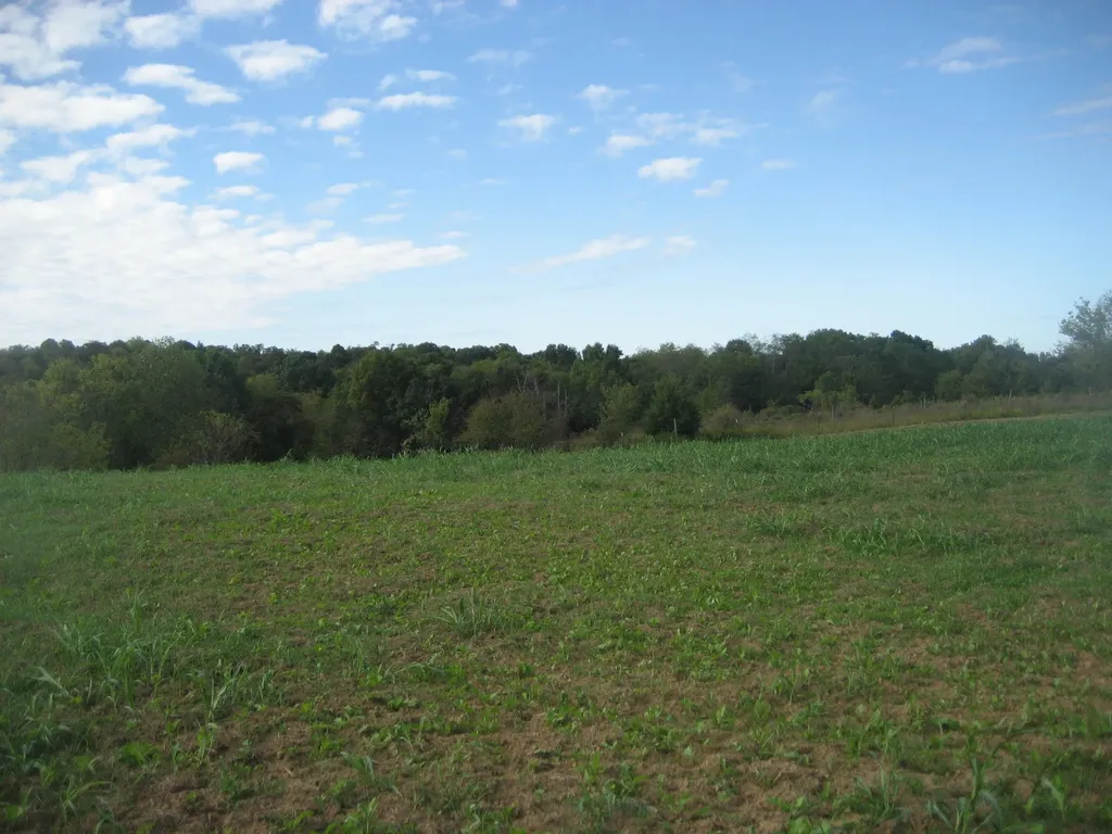 901 Hayden Brothers Lane Springfield KY 40069