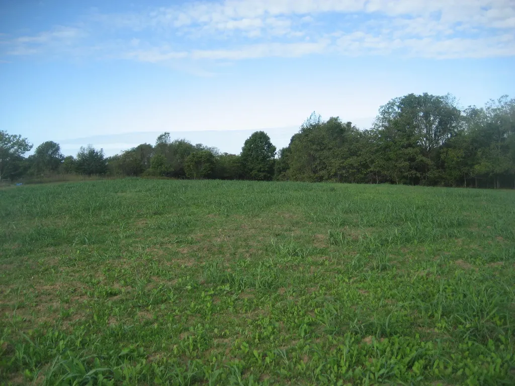 901 Hayden Brothers Lane Springfield KY 40069