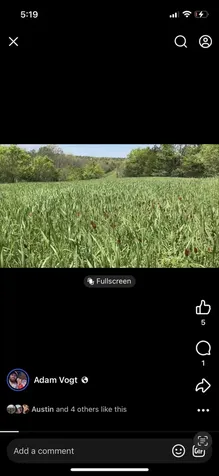 901 Hayden Brothers Lane Springfield KY 40069