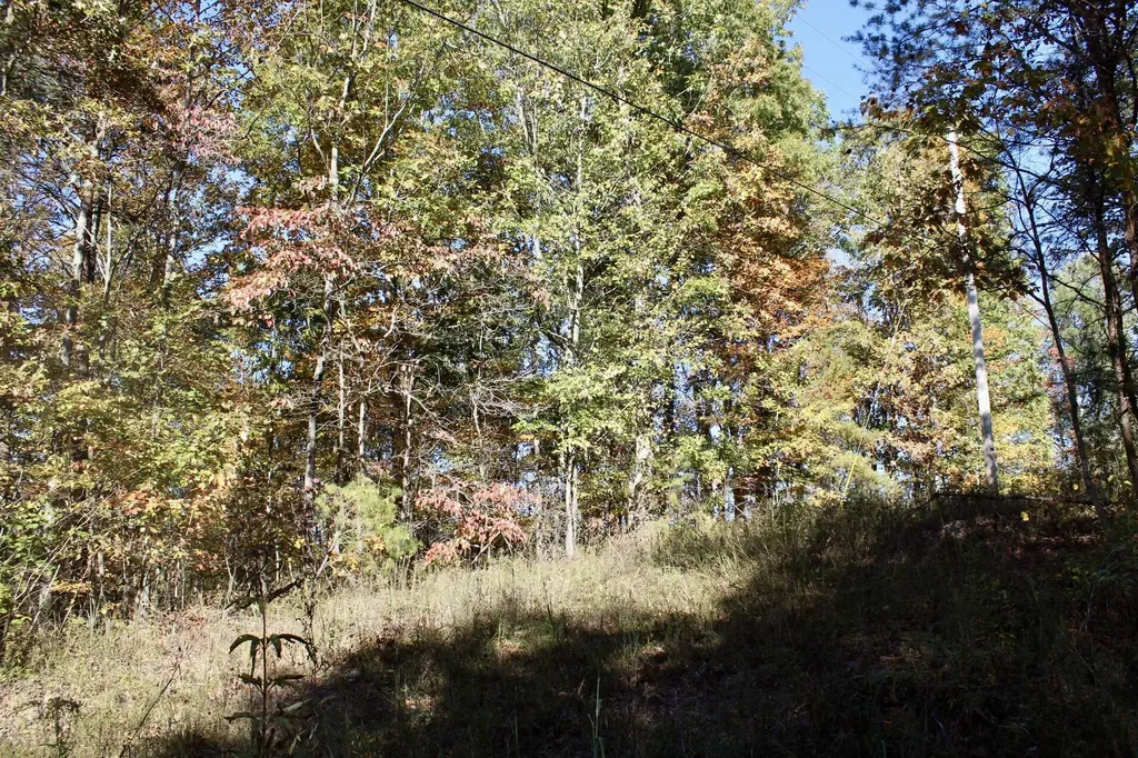 2577 Hazel Patch Road East Bernstadt KY 40729