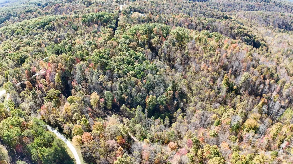 2577 Hazel Patch Road East Bernstadt KY 40729