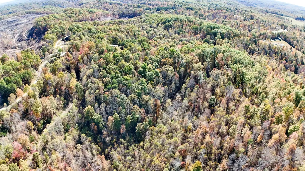 2577 Hazel Patch Road East Bernstadt KY 40729