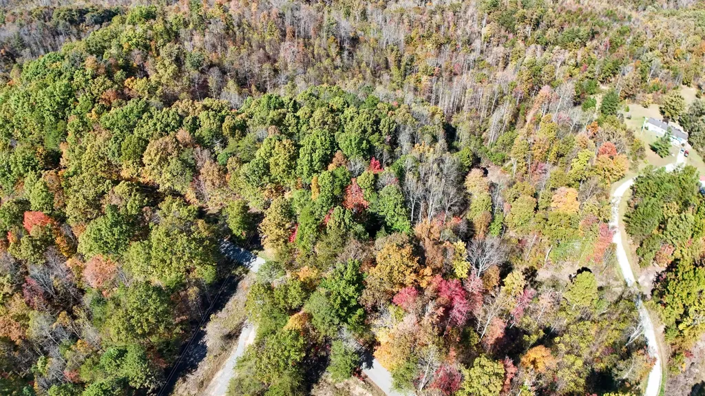 2577 Hazel Patch Road East Bernstadt KY 40729