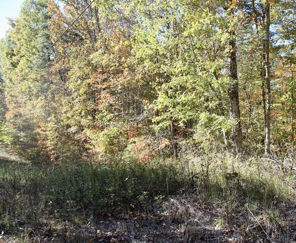 2577 Hazel Patch Road East Bernstadt KY 40729