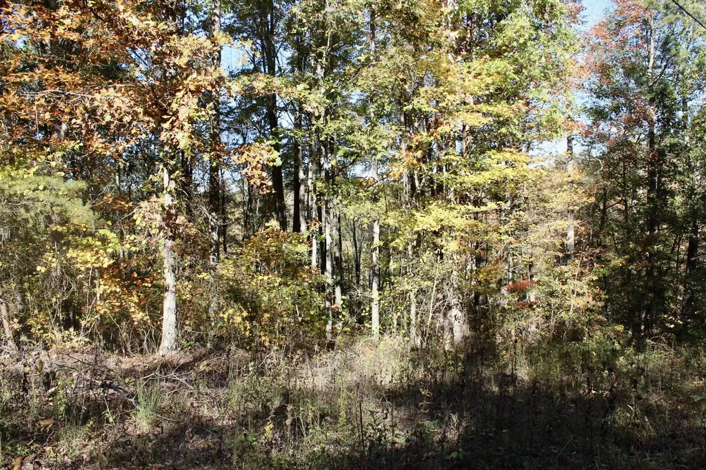 2577 Hazel Patch Road East Bernstadt KY 40729