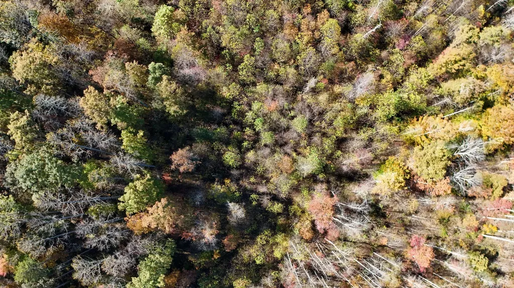 2577 Hazel Patch Road East Bernstadt KY 40729