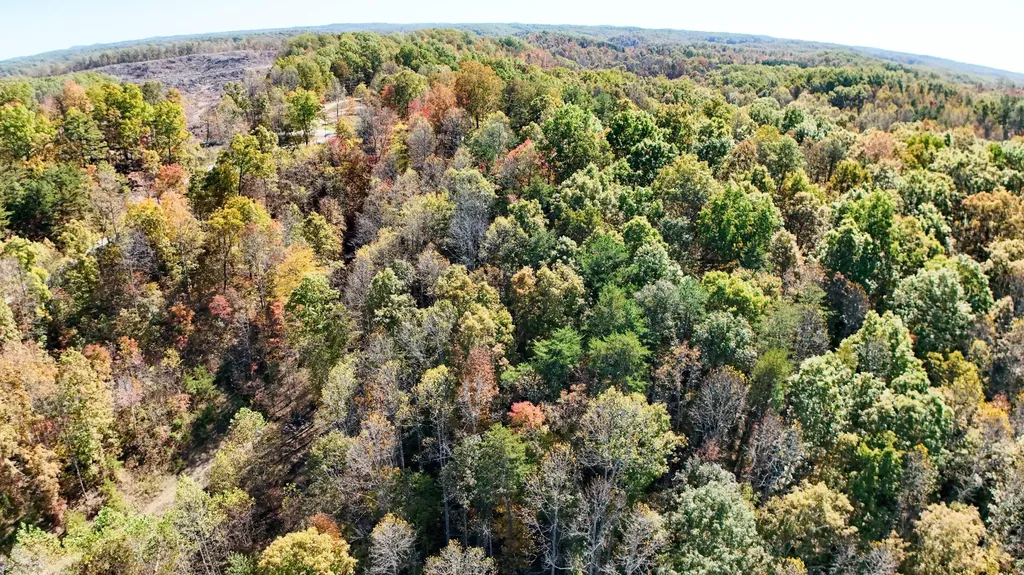 2577 Hazel Patch Road East Bernstadt KY 40729