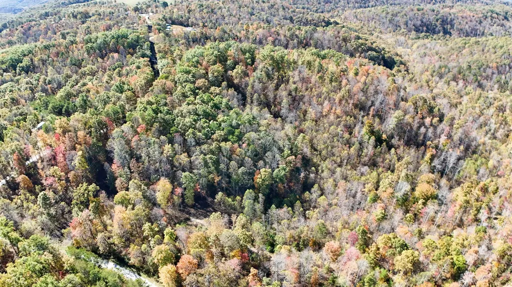 2577 Hazel Patch Road East Bernstadt KY 40729
