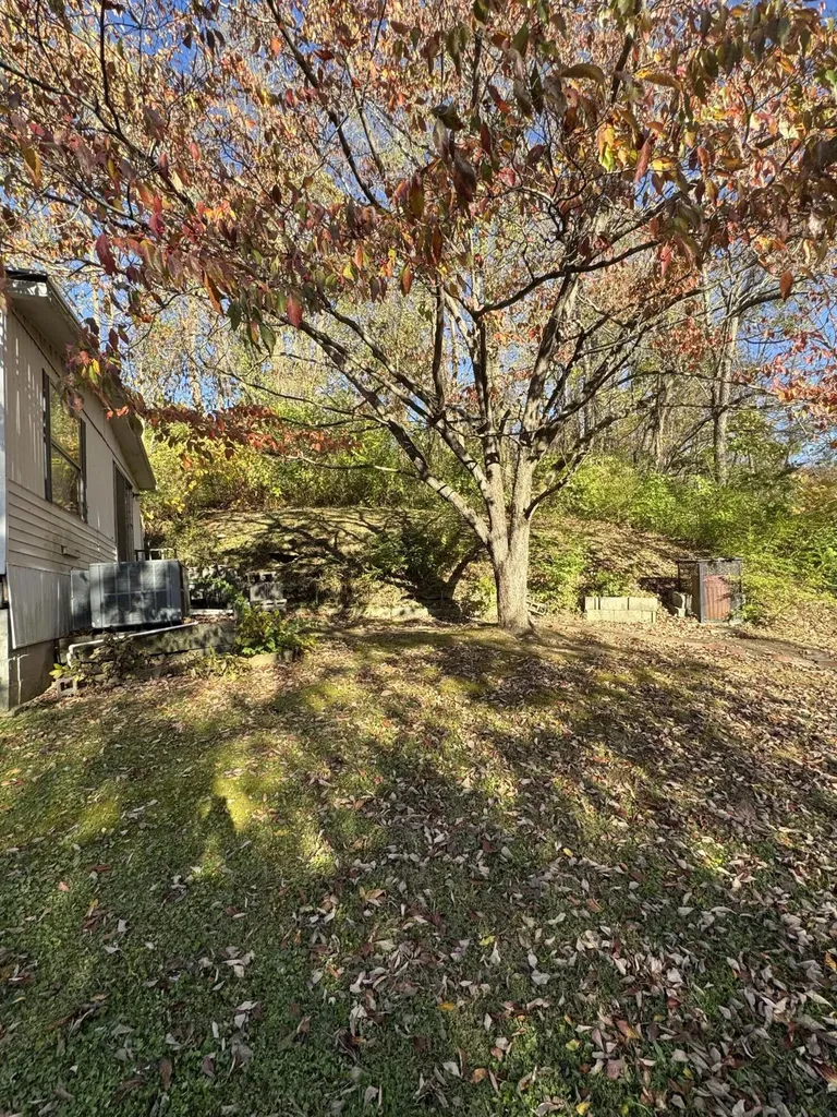 237 Brown Street Cumberland KY 40823