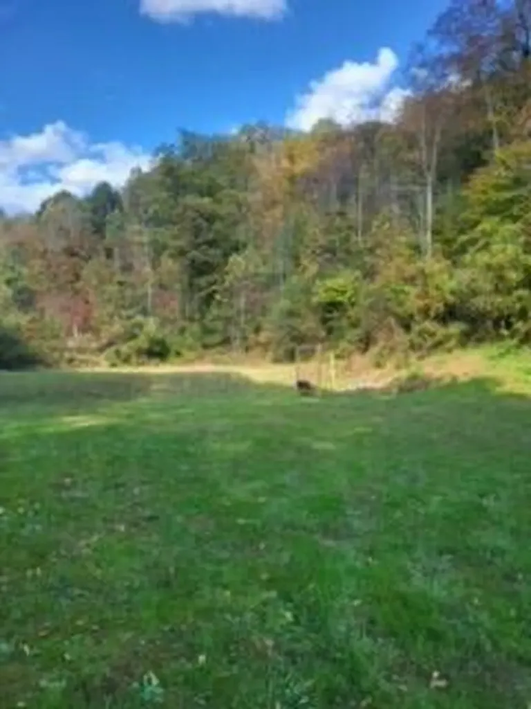 2810 Ogden Vest Road Hindman KY 41822
