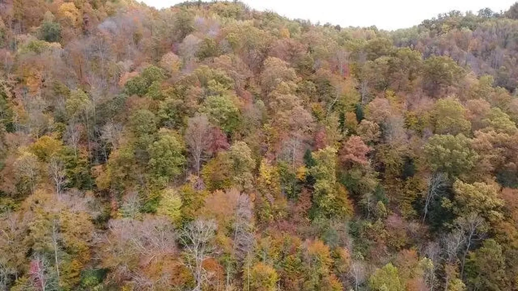 2810 Ogden Vest Road Hindman KY 41822