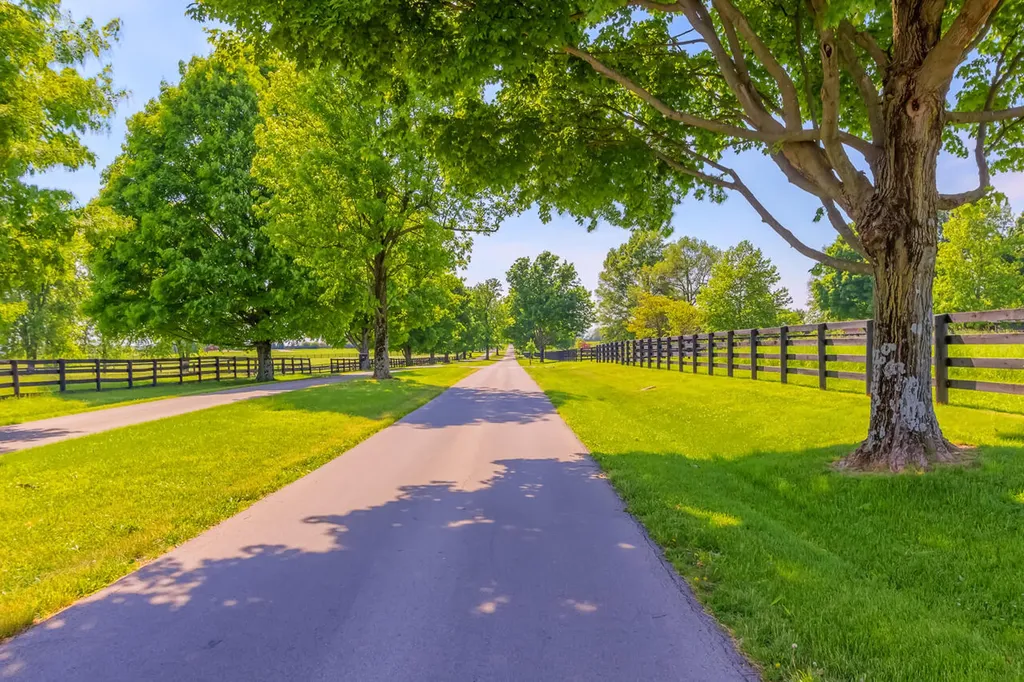 2680 Our Native Lane Lexington KY 40510