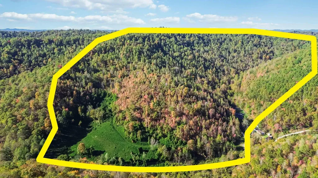 184 Ancient Springs Drive Hinkle KY 40953