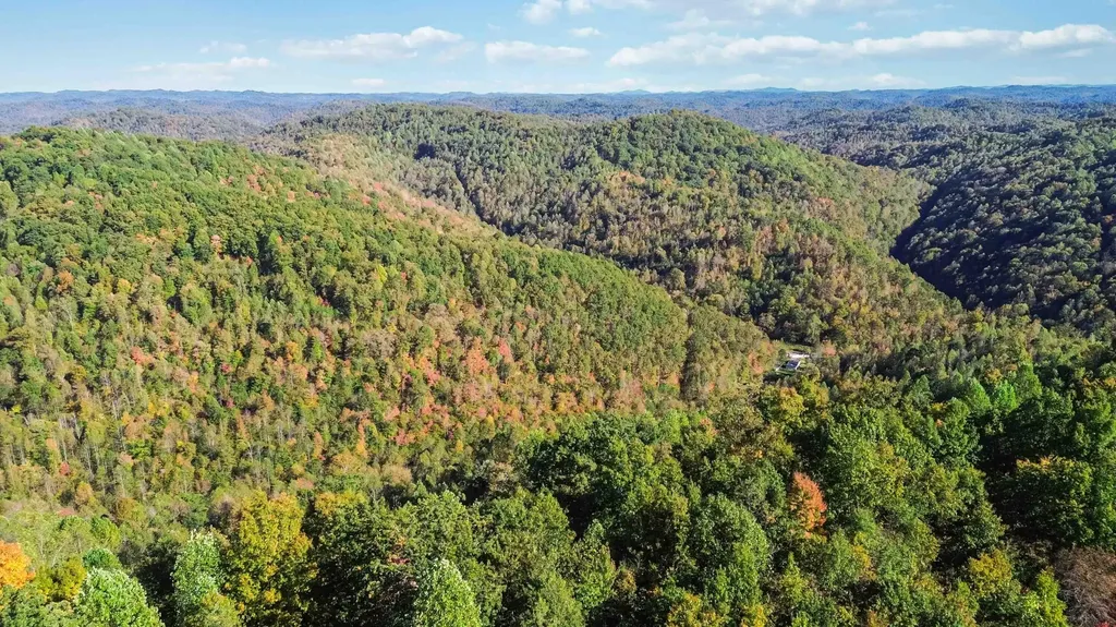 184 Ancient Springs Drive Hinkle KY 40953