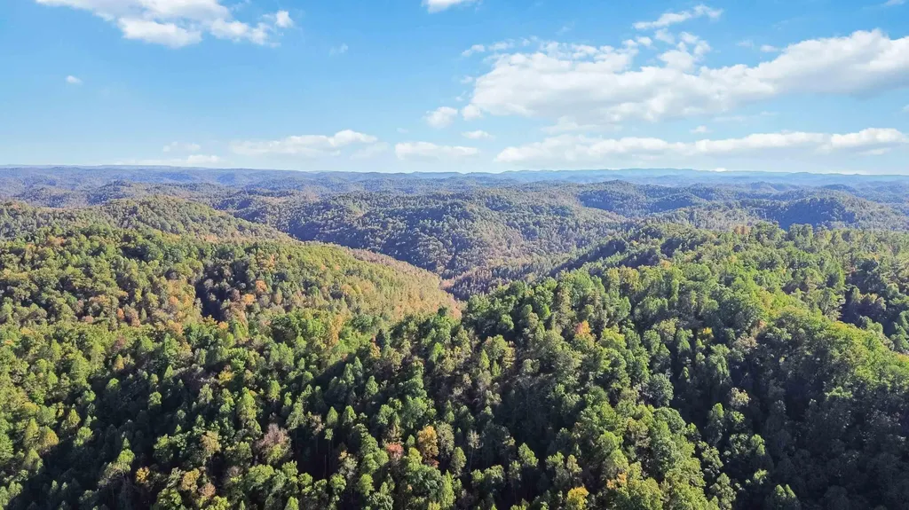 184 Ancient Springs Drive Hinkle KY 40953
