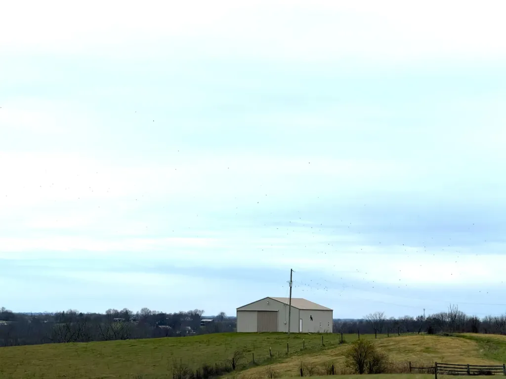 Tract 17 Waits Road Cynthiana KY 41031