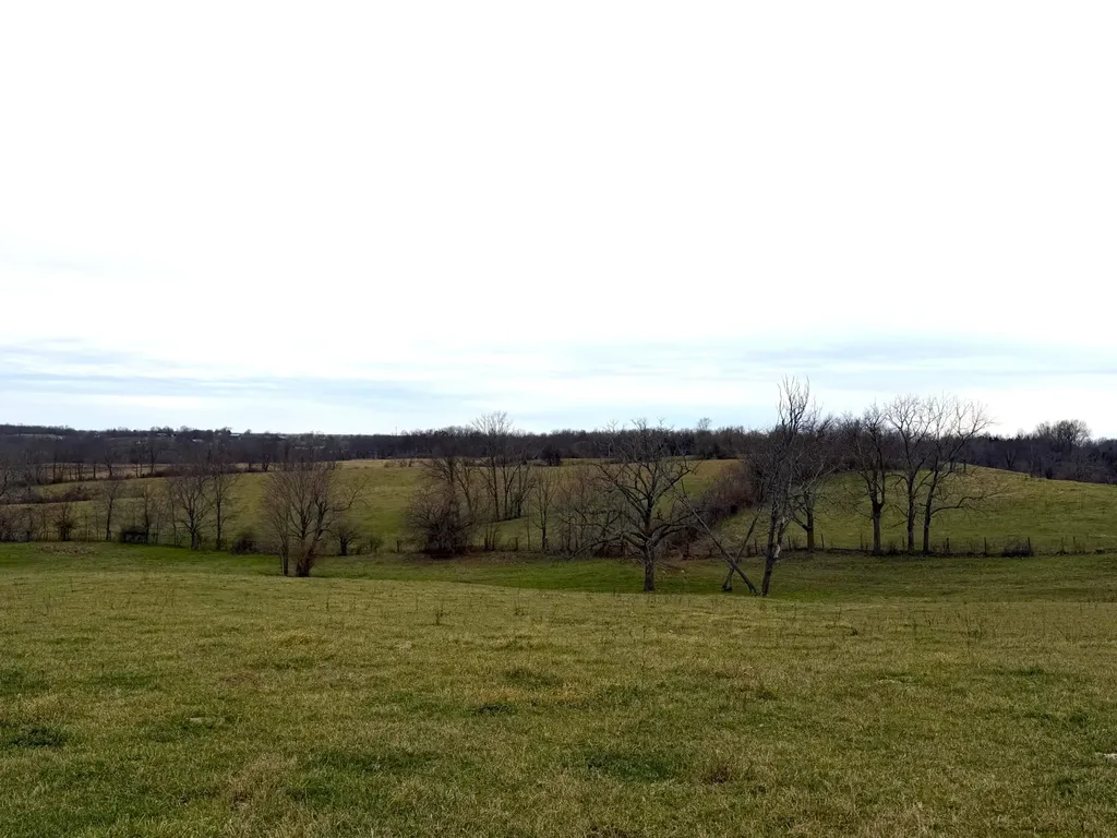 Tract 17 Waits Road Cynthiana KY 41031