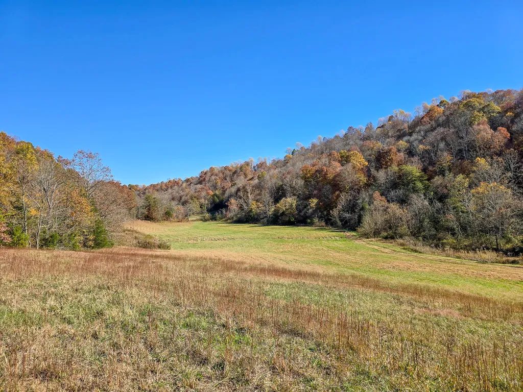 Tract 2 Bastin Creek Road Kings Mountain KY 40442