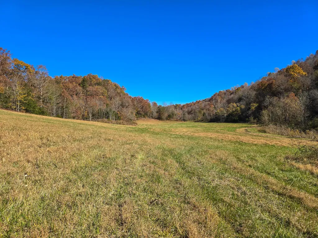 Tract 2 Bastin Creek Road Kings Mountain KY 40442