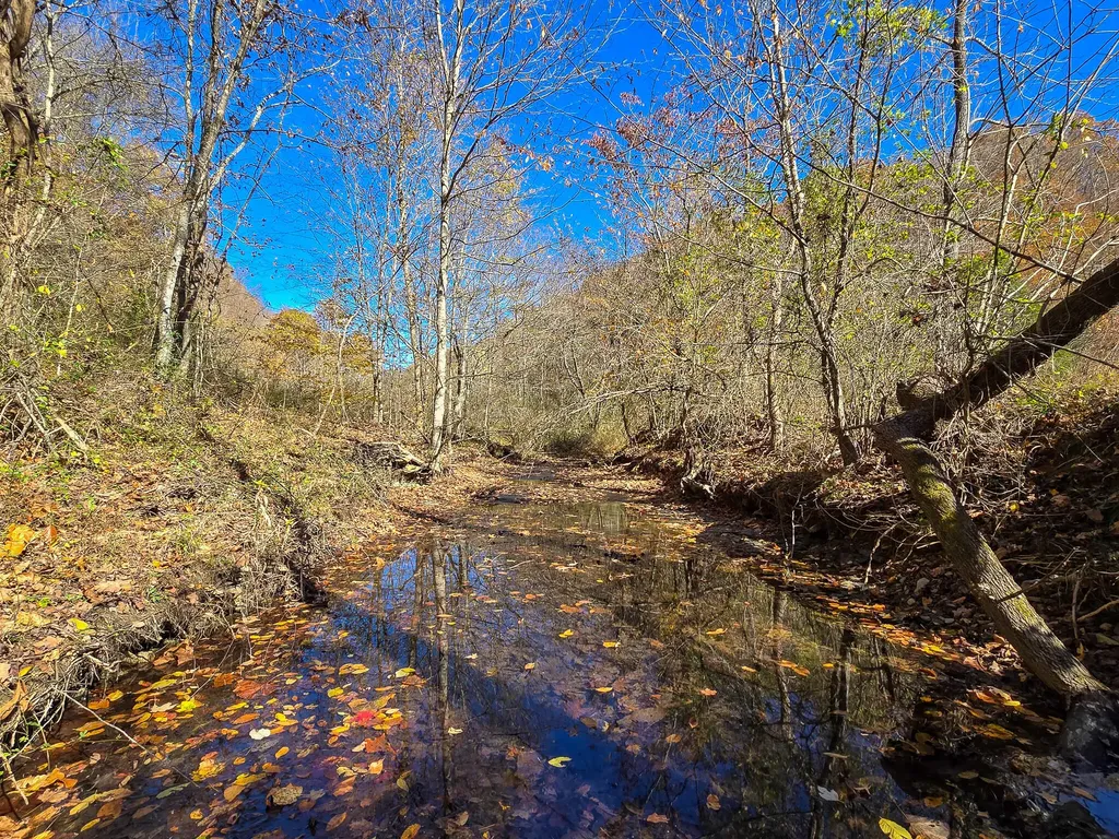 Tract 2 Bastin Creek Road Kings Mountain KY 40442